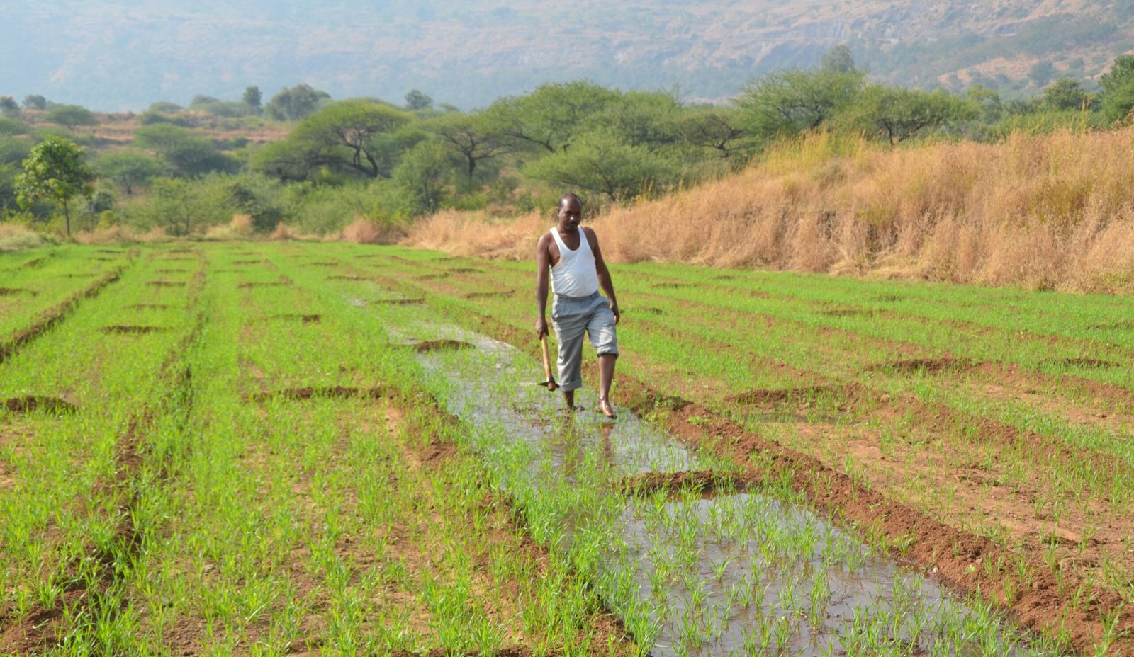 A farmer from Akole, Ahmednagar district, Maharashtra