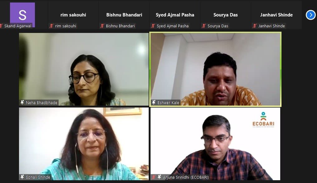 Screengrab from the webinar