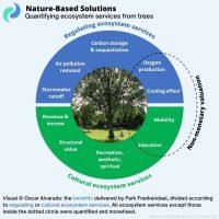 Credit: Nature Based Solutions Platform, Quantifying Ecosystem Services from Trees